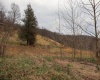 TBD Mudlick Run Road, Fairmont, West Virginia 26554, ,Lots/land,For Sale,Mudlick Run,10163964