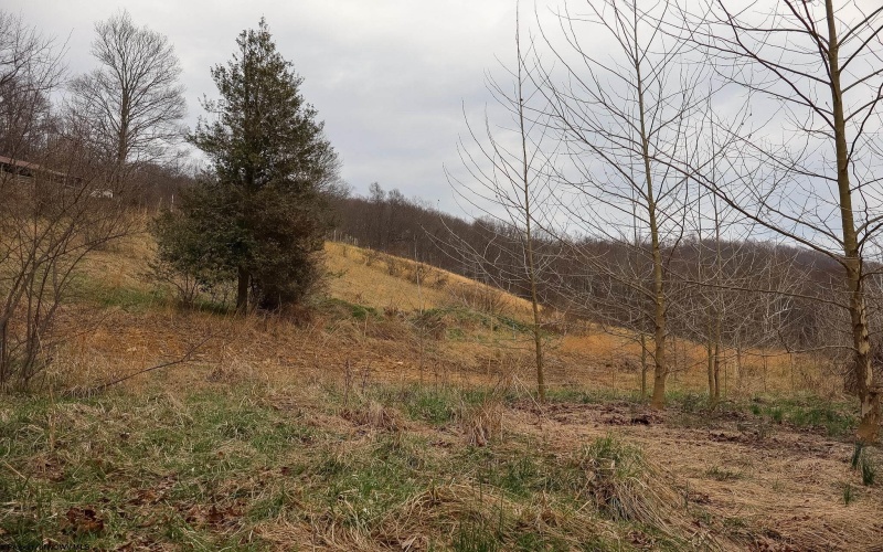 TBD Mudlick Run Road, Fairmont, West Virginia 26554, ,Lots/land,For Sale,Mudlick Run,10163964