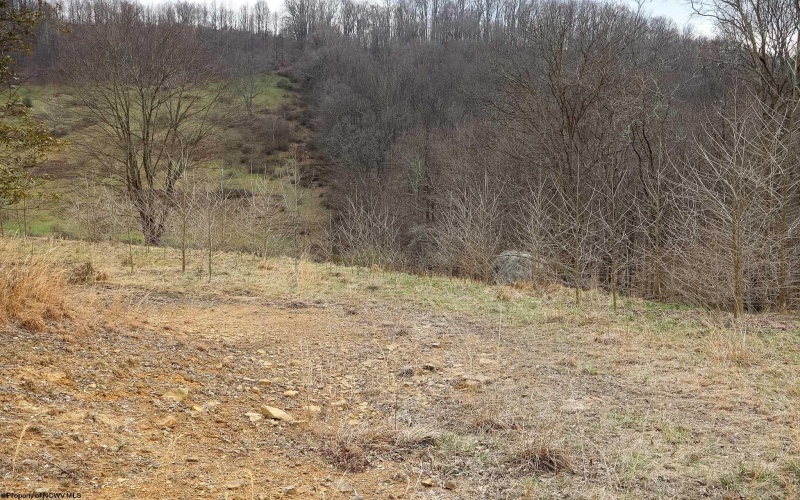 TBD Mudlick Run Road, Fairmont, West Virginia 26554, ,Lots/land,For Sale,Mudlick Run,10163964