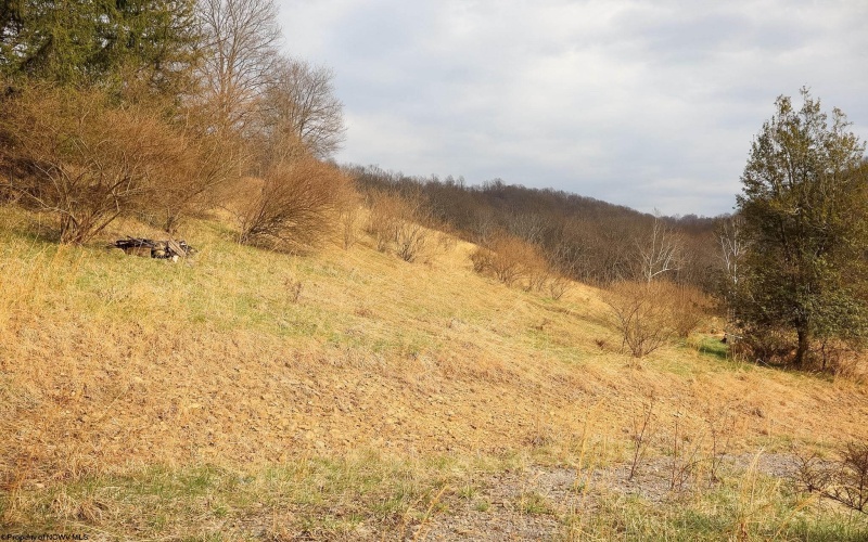 TBD Mudlick Run Road, Fairmont, West Virginia 26554, ,Lots/land,For Sale,Mudlick Run,10163964