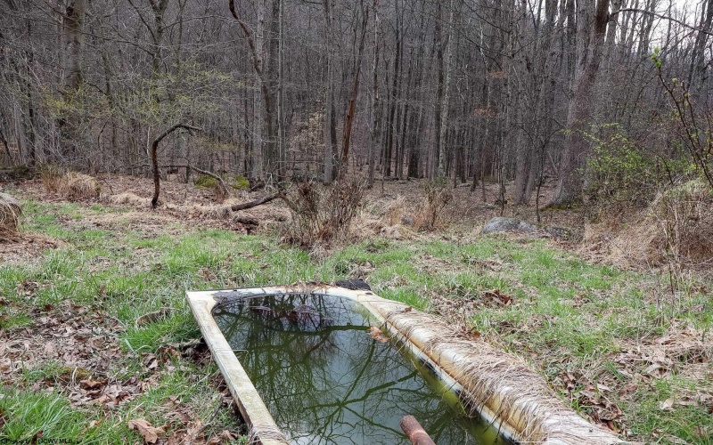 TBD Mudlick Run Road, Fairmont, West Virginia 26554, ,Lots/land,For Sale,Mudlick Run,10163964