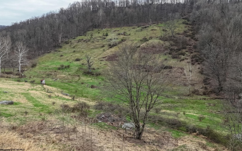 TBD Mudlick Run Road, Fairmont, West Virginia 26554, ,Lots/land,For Sale,Mudlick Run,10163964