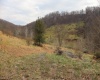 TBD Mudlick Run Road, Fairmont, West Virginia 26554, ,Lots/land,For Sale,Mudlick Run,10163964