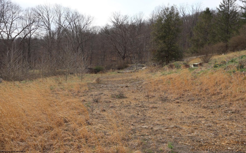 TBD Mudlick Run Road, Fairmont, West Virginia 26554, ,Lots/land,For Sale,Mudlick Run,10163964