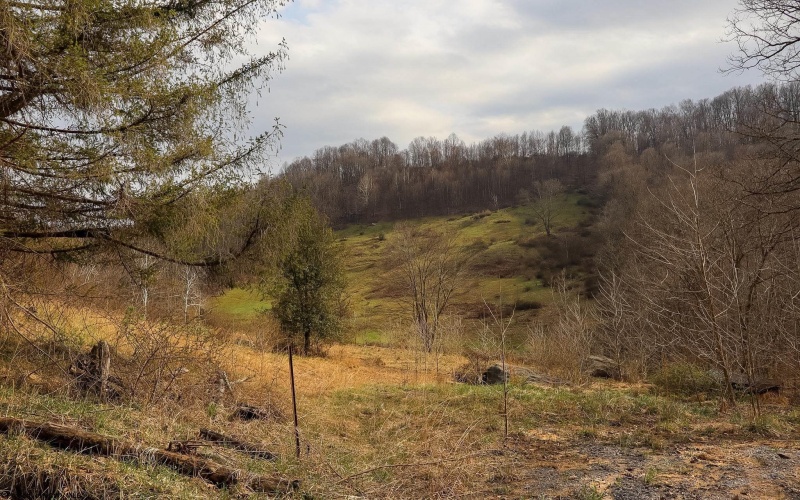 TBD Mudlick Run Road, Fairmont, West Virginia 26554, ,Lots/land,For Sale,Mudlick Run,10163964