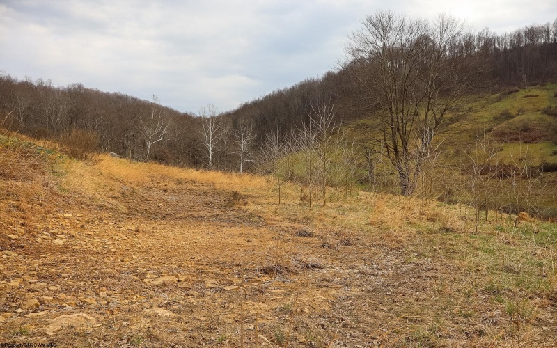 TBD Mudlick Run Road, Fairmont, West Virginia 26554, ,Lots/land,For Sale,Mudlick Run,10163964