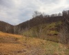 TBD Mudlick Run Road, Fairmont, West Virginia 26554, ,Lots/land,For Sale,Mudlick Run,10163964