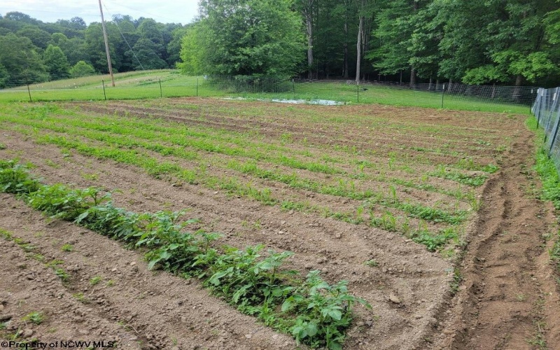 540 Cherry Run Road, Craigsville, West Virginia 26205, 4 Bedrooms Bedrooms, 8 Rooms Rooms,1 BathroomBathrooms,Single Family Detached,For Sale,Cherry Run,10163963