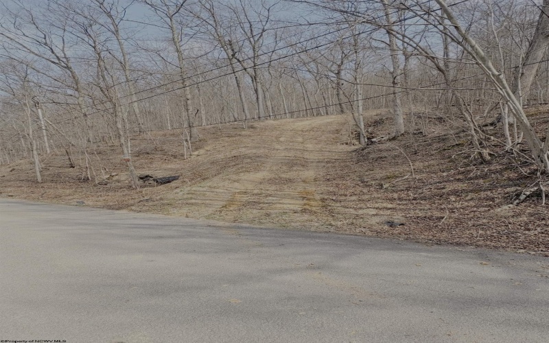 tbd Pine Grove Road, Fairmont, West Virginia 26554, ,Lots/land,For Sale,Pine Grove,10163946