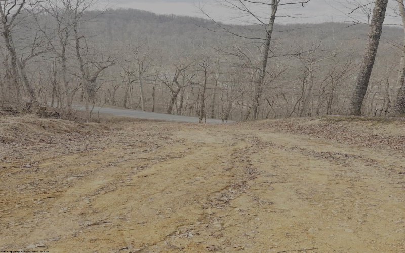tbd Pine Grove Road, Fairmont, West Virginia 26554, ,Lots/land,For Sale,Pine Grove,10163946