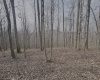 tbd Pine Grove Road, Fairmont, West Virginia 26554, ,Lots/land,For Sale,Pine Grove,10163946