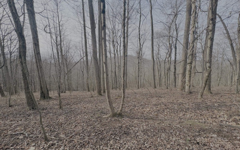 tbd Pine Grove Road, Fairmont, West Virginia 26554, ,Lots/land,For Sale,Pine Grove,10163946