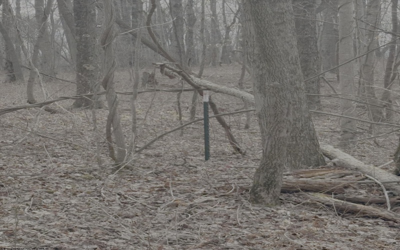 tbd Pine Grove Road, Fairmont, West Virginia 26554, ,Lots/land,For Sale,Pine Grove,10163946