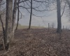 tbd Pine Grove Road, Fairmont, West Virginia 26554, 0 , 0 ,0,Lots/land,For Sale,Pine Grove,0,10163946