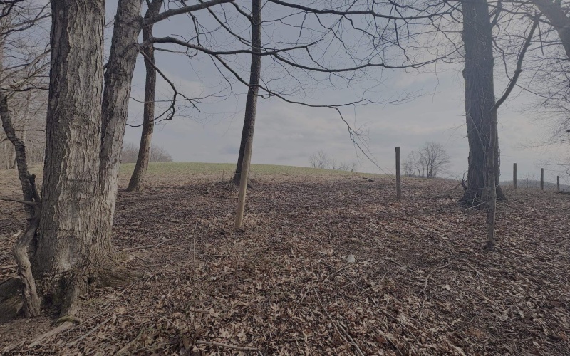 tbd Pine Grove Road, Fairmont, West Virginia 26554, 0 , 0 ,0,Lots/land,For Sale,Pine Grove,0,10163946