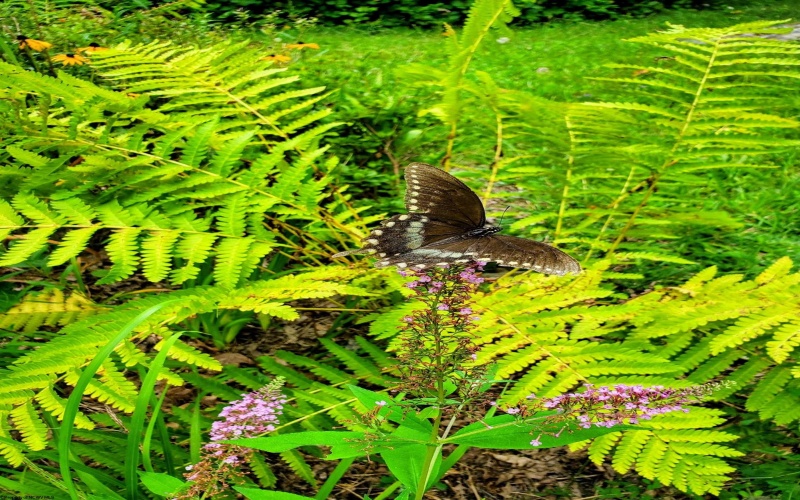 143 Paradise Circle, Morgantown, West Virginia 26508, 3 Bedrooms Bedrooms, 5 Rooms Rooms,1 BathroomBathrooms,Single Family Detached,For Sale,Paradise,10163950 143 Paradise Circle, Morgantown, West Virginia 26508, 3 Bedrooms Bedrooms, 5 Rooms Rooms,1 BathroomBathrooms,Single Family Detached,For Sale,Paradise,10163950