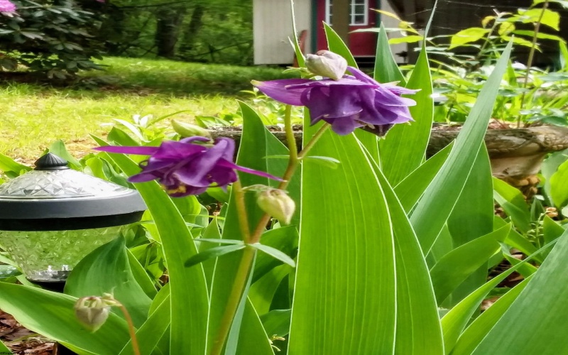 143 Paradise Circle, Morgantown, West Virginia 26508, 3 Bedrooms Bedrooms, 5 Rooms Rooms,1 BathroomBathrooms,Single Family Detached,For Sale,Paradise,10163950 143 Paradise Circle, Morgantown, West Virginia 26508, 3 Bedrooms Bedrooms, 5 Rooms Rooms,1 BathroomBathrooms,Single Family Detached,For Sale,Paradise,10163950