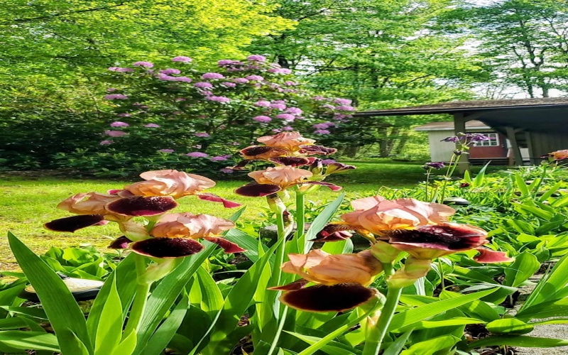 143 Paradise Circle, Morgantown, West Virginia 26508, 3 Bedrooms Bedrooms, 5 Rooms Rooms,1 BathroomBathrooms,Single Family Detached,For Sale,Paradise,10163950 143 Paradise Circle, Morgantown, West Virginia 26508, 3 Bedrooms Bedrooms, 5 Rooms Rooms,1 BathroomBathrooms,Single Family Detached,For Sale,Paradise,10163950