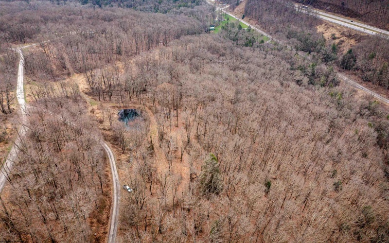 TBD Coopers Rock Drive, Bruceton Mills, West Virginia 26525, ,Lots/land,For Sale,Coopers Rock,10163986