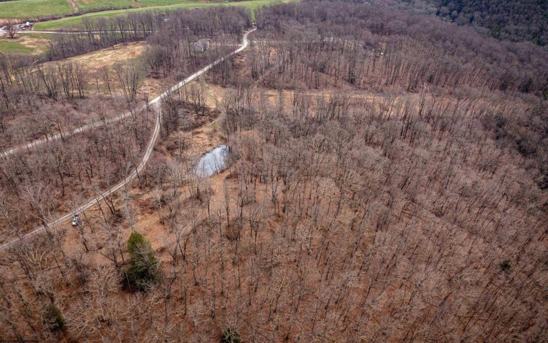 TBD Coopers Rock Drive, Bruceton Mills, West Virginia 26525, ,Lots/land,For Sale,Coopers Rock,10163986