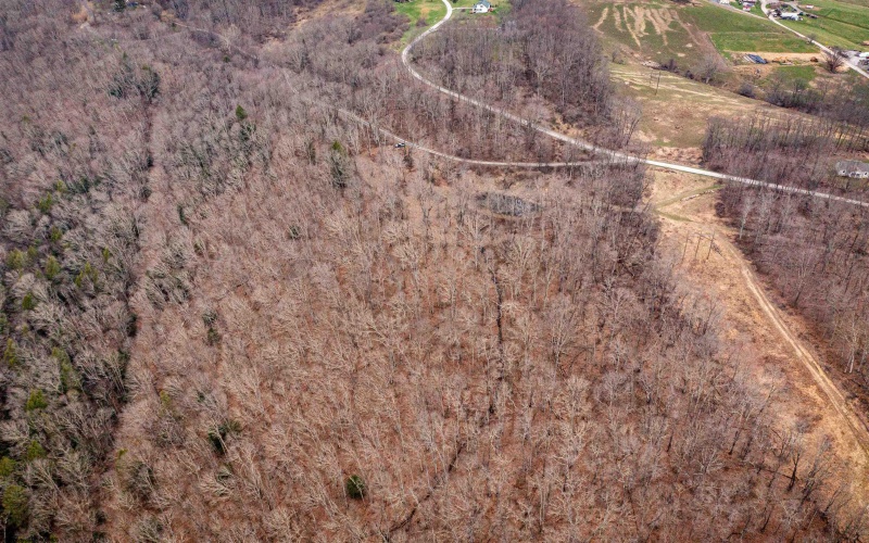 TBD Coopers Rock Drive, Bruceton Mills, West Virginia 26525, ,Lots/land,For Sale,Coopers Rock,10163986