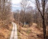 TBD Coopers Rock Drive, Bruceton Mills, West Virginia 26525, ,Lots/land,For Sale,Coopers Rock,10163986