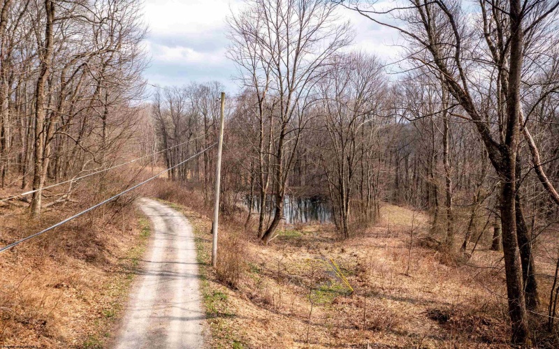 TBD Coopers Rock Drive, Bruceton Mills, West Virginia 26525, ,Lots/land,For Sale,Coopers Rock,10163986