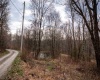 TBD Coopers Rock Drive, Bruceton Mills, West Virginia 26525, ,Lots/land,For Sale,Coopers Rock,10163986