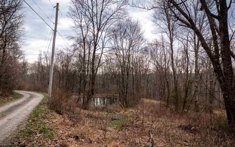 TBD Coopers Rock Drive, Bruceton Mills, West Virginia 26525, ,Lots/land,For Sale,Coopers Rock,10163986