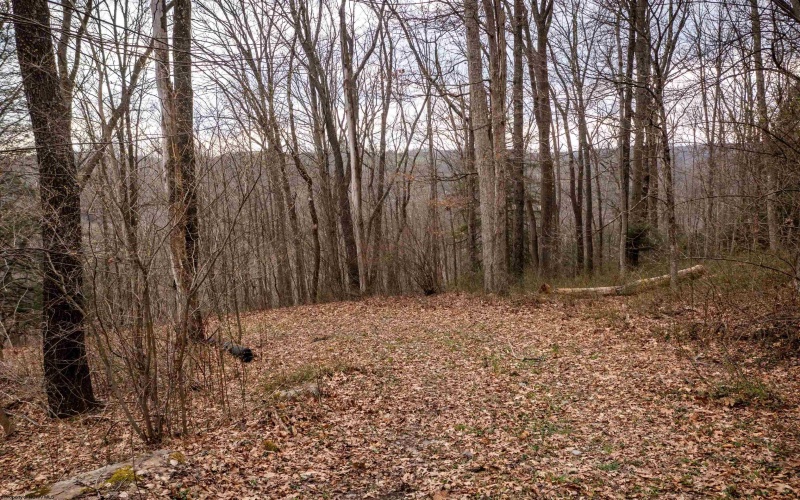 TBD Coopers Rock Drive, Bruceton Mills, West Virginia 26525, ,Lots/land,For Sale,Coopers Rock,10163986