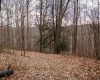 TBD Coopers Rock Drive, Bruceton Mills, West Virginia 26525, ,Lots/land,For Sale,Coopers Rock,10163986