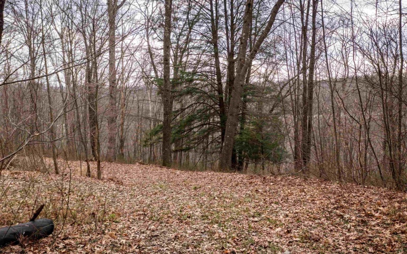 TBD Coopers Rock Drive, Bruceton Mills, West Virginia 26525, ,Lots/land,For Sale,Coopers Rock,10163986