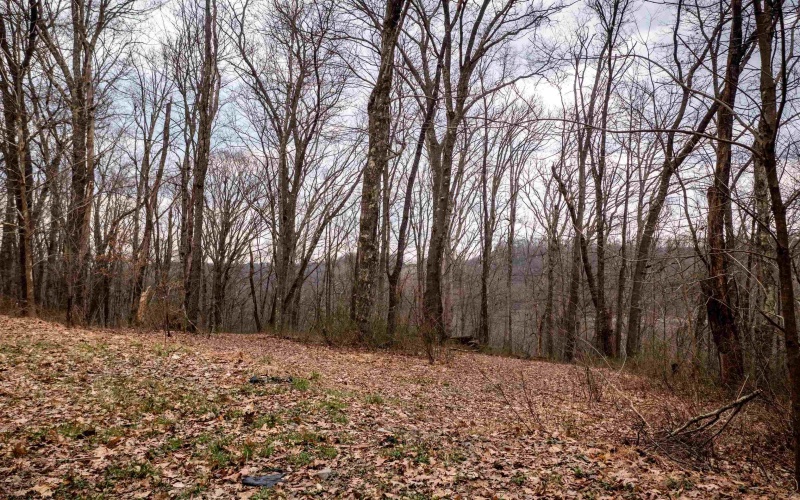 TBD Coopers Rock Drive, Bruceton Mills, West Virginia 26525, ,Lots/land,For Sale,Coopers Rock,10163986