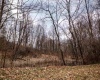 TBD Coopers Rock Drive, Bruceton Mills, West Virginia 26525, ,Lots/land,For Sale,Coopers Rock,10163986