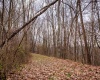 TBD Coopers Rock Drive, Bruceton Mills, West Virginia 26525, ,Lots/land,For Sale,Coopers Rock,10163986