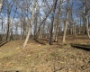 tbd Windsor Road, Bridgeport, West Virginia 26330, ,Lots/land,For Sale,Windsor,10163980