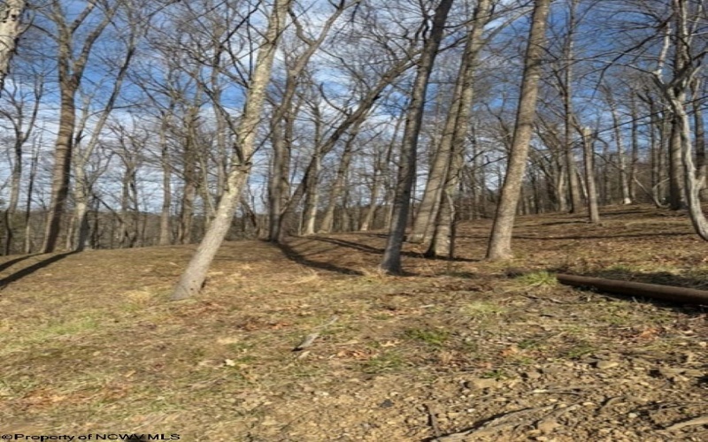 tbd Windsor Road, Bridgeport, West Virginia 26330, ,Lots/land,For Sale,Windsor,10163980
