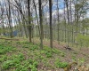tbd Windsor Road, Bridgeport, West Virginia 26330, ,Lots/land,For Sale,Windsor,10163980