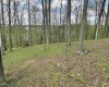 tbd Windsor Road, Bridgeport, West Virginia 26330, ,Lots/land,For Sale,Windsor,10163980