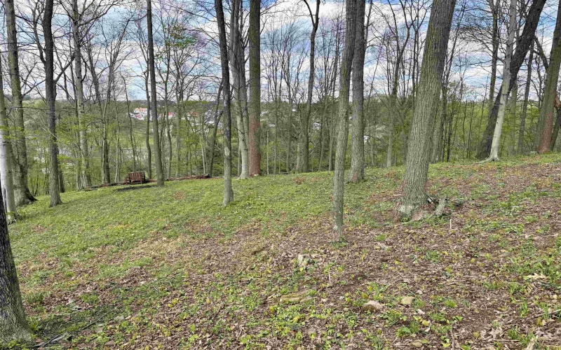 tbd Windsor Road, Bridgeport, West Virginia 26330, ,Lots/land,For Sale,Windsor,10163980