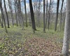 tbd Windsor Road, Bridgeport, West Virginia 26330, ,Lots/land,For Sale,Windsor,10163980