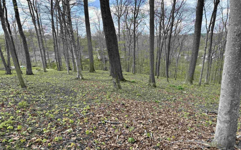 tbd Windsor Road, Bridgeport, West Virginia 26330, ,Lots/land,For Sale,Windsor,10163980