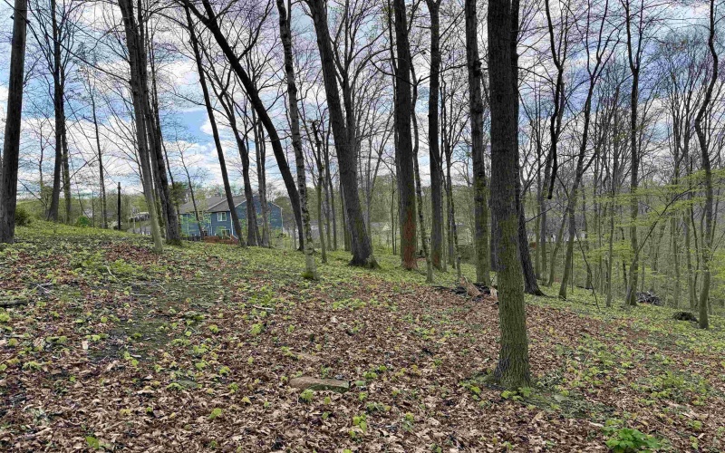 tbd Windsor Road, Bridgeport, West Virginia 26330, ,Lots/land,For Sale,Windsor,10163980