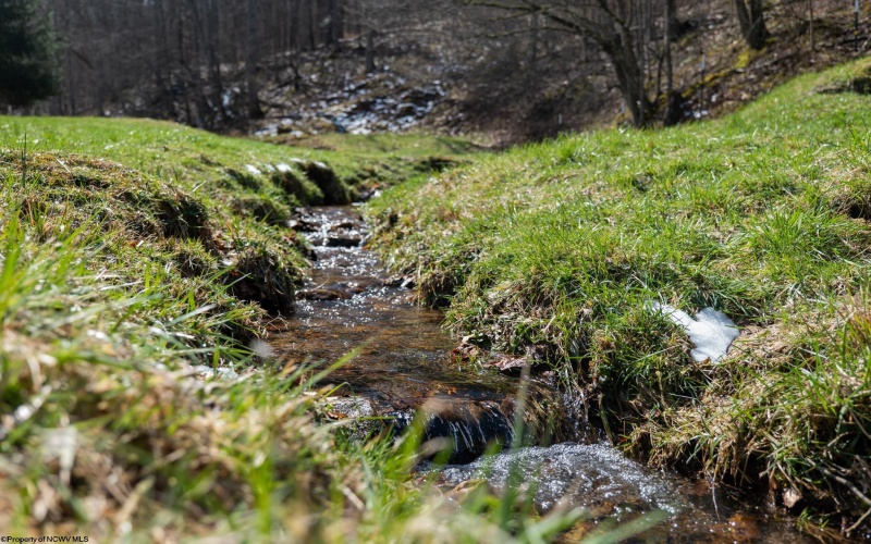 105 Helmsdale Road, French Creek, West Virginia 26218, 4 Bedrooms Bedrooms, 11 Rooms Rooms,2 BathroomsBathrooms,Single Family Detached,For Sale,Helmsdale,10163976