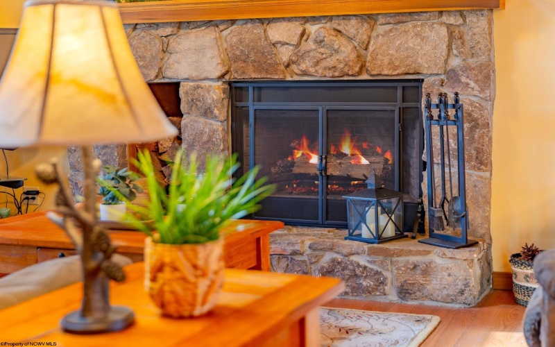 614 Hemlock Circle, Terra Alta, West Virginia 26764, 2 Bedrooms Bedrooms, 7 Rooms Rooms,2 BathroomsBathrooms,Single Family Detached,For Sale,Hemlock,10163993