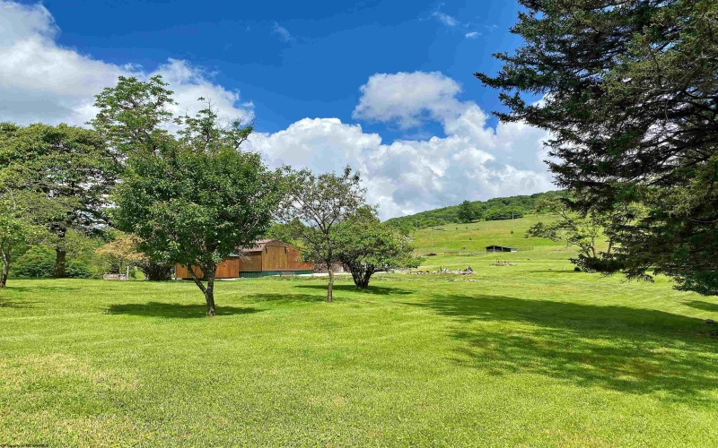 8816 Turkey Bone Road, Pickens, West Virginia 26230, ,Lots/land,For Sale,Turkey Bone,10164003