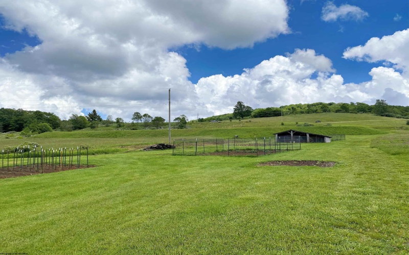 8816 Turkey Bone Road, Pickens, West Virginia 26230, ,Lots/land,For Sale,Turkey Bone,10164003