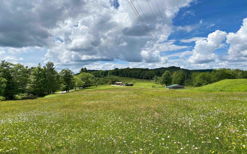 8816 Turkey Bone Road, Pickens, West Virginia 26230, ,Lots/land,For Sale,Turkey Bone,10164003