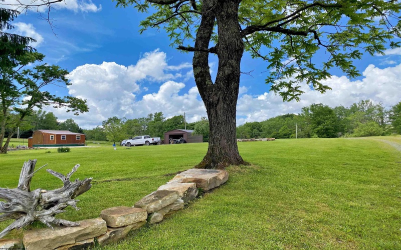 8816 Turkey Bone Road, Pickens, West Virginia 26230, ,Lots/land,For Sale,Turkey Bone,10164003