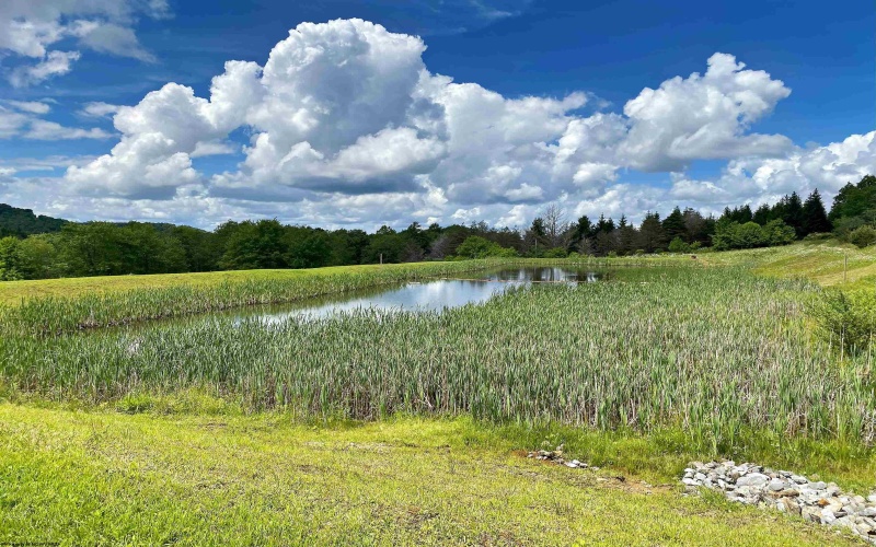 8816 Turkey Bone Road, Pickens, West Virginia 26230, ,Lots/land,For Sale,Turkey Bone,10164003